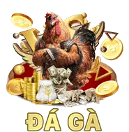 Ưu Đãi Hàng Ngày 788bet